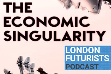 The Economic Singularity: Discussion paper and questions