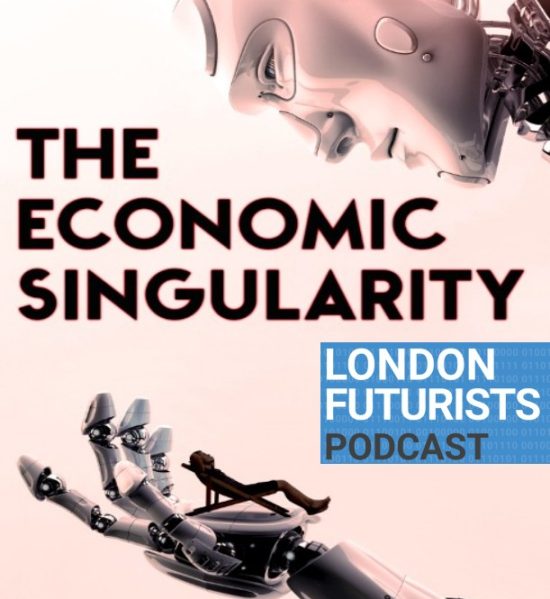 The Economic Singularity: Discussion paper and questions